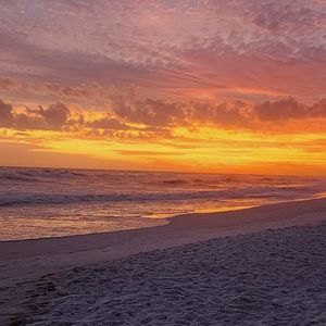 Colors and tonals, oh my!